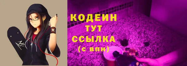 индика Куйбышев