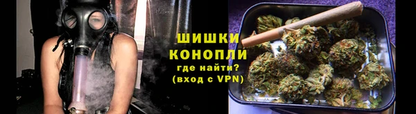 индика Куйбышев