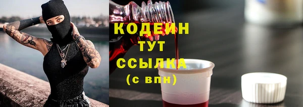 индика Куйбышев