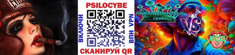 купить наркотик  нарко площадка наркотические препараты  Галлюциногенные грибы MAGIC MUSHROOMS  Узловая 