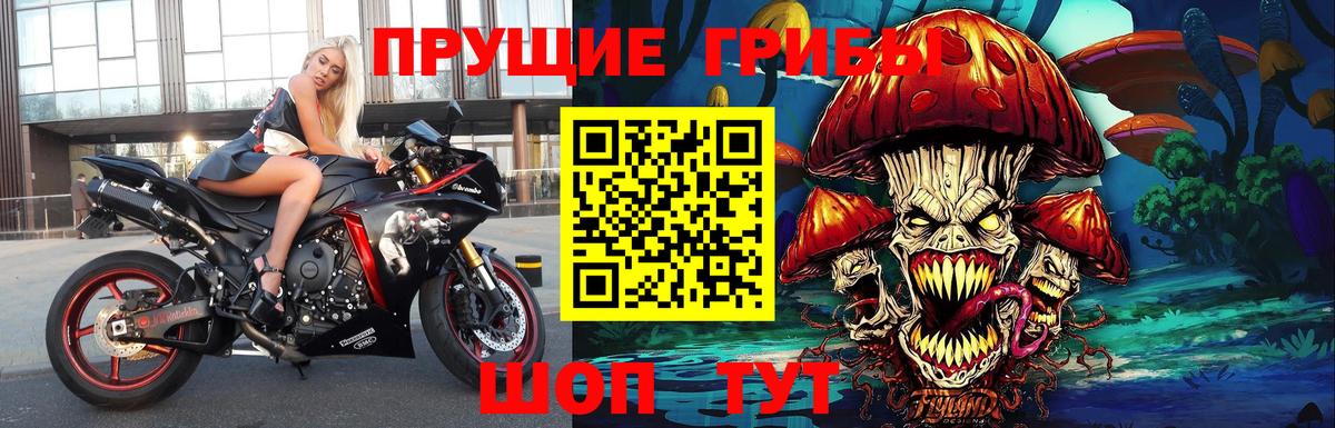 Узловая  Псилоцибиновые грибы Magic Shrooms  Вход с VPN 